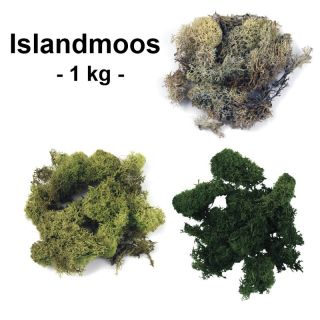 Islandmoos in 1 kg
