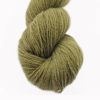 07 Kiwi