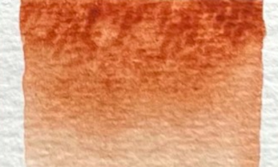 640 Roter Bolus