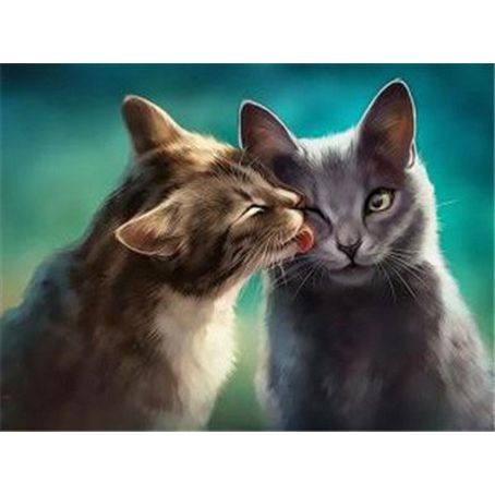 Diamond ART, Daimond Painting 40x30cm, Katzenliebe