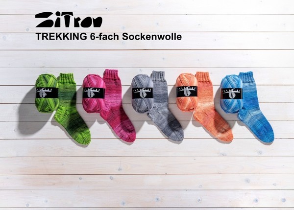 ATELIER ZITRON Trekking 6-fach Color Sockenwolle