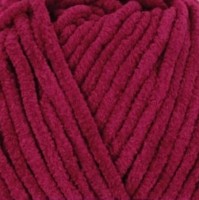 WXS835 Beere