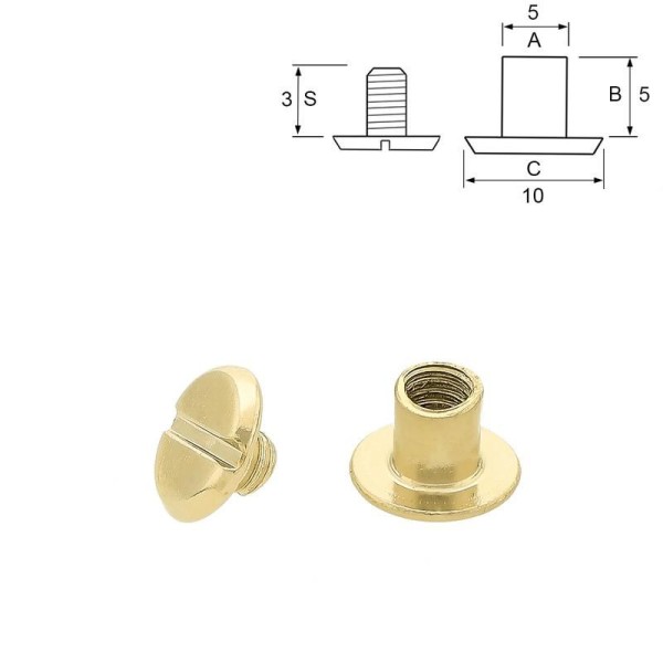 Buchschrauben, Chicagoschrauben 5 x 10 mm, vermessingt