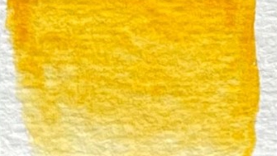 250 Curcuma